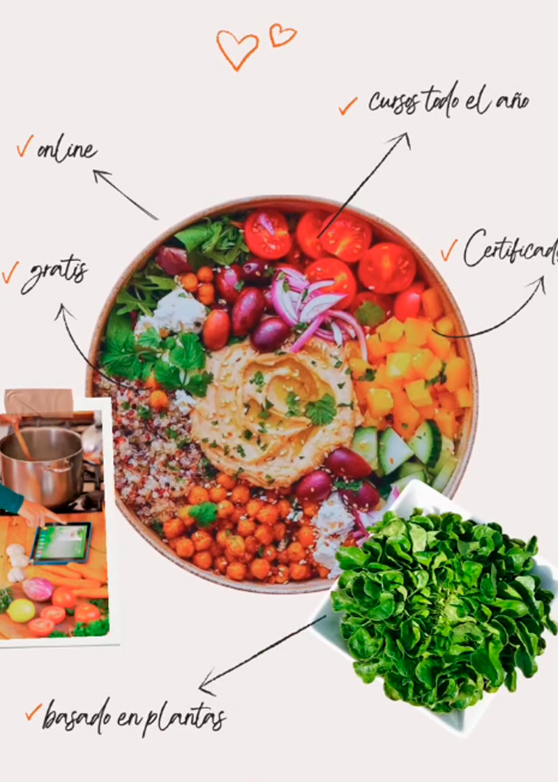 Cursos Veganos