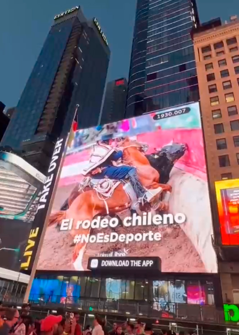Campaña No Es Deporte