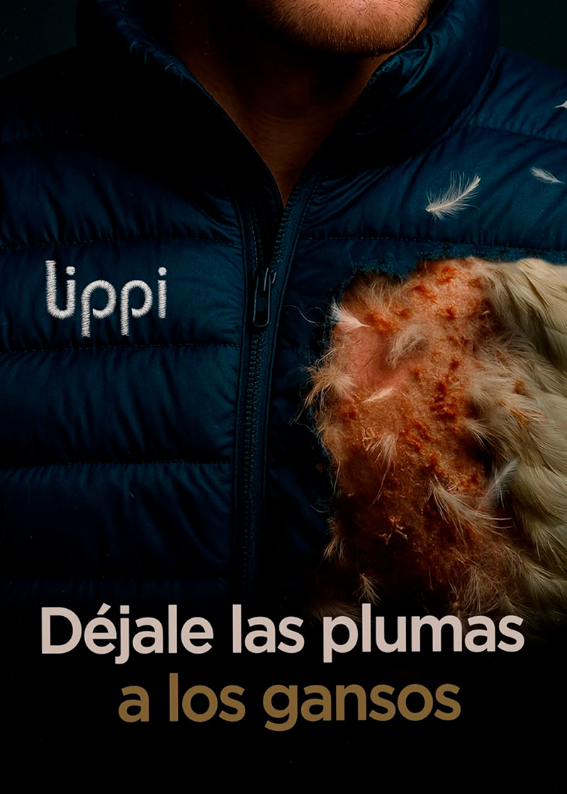 Campaña Vístete Sin Animales